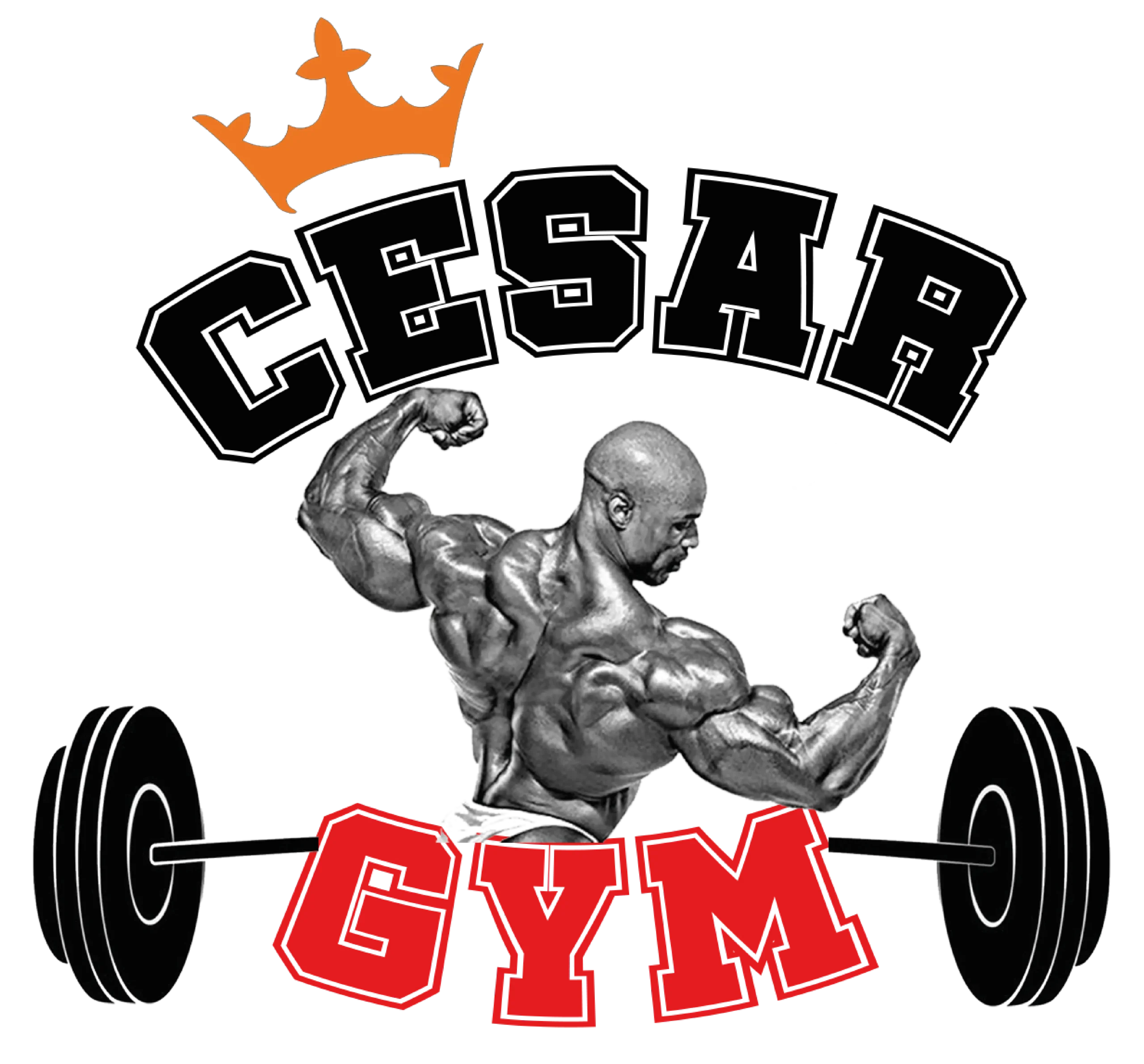 CESAR GYM : 