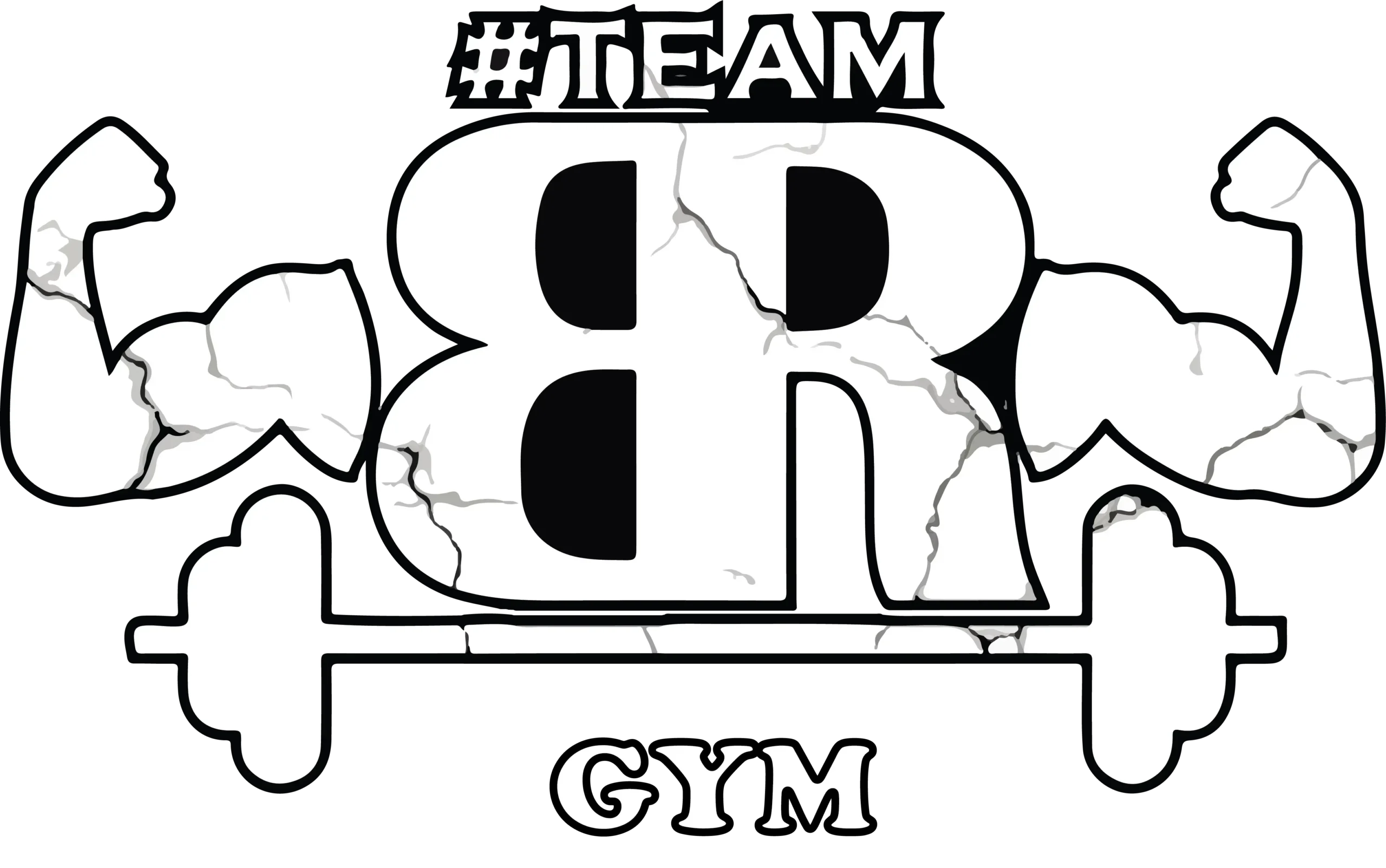 TEAM BR - NUEVO LOGO : 